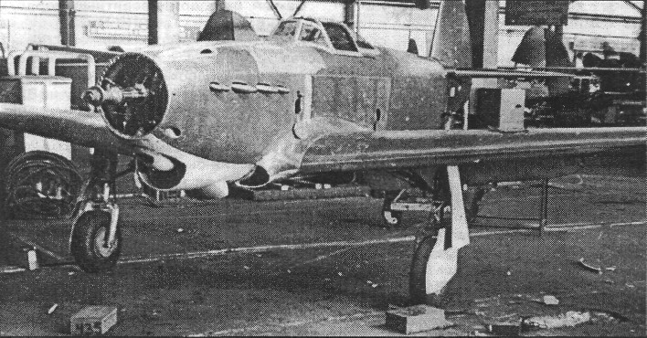 Yak-1043.jpg