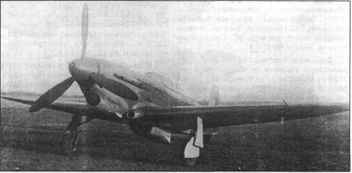Yak-1044.jpg