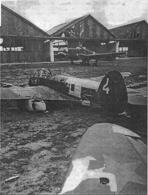 Yak4019.jpg