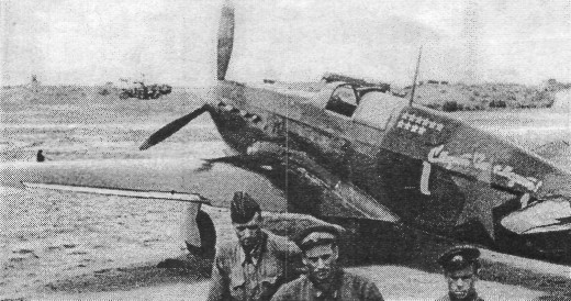 Yak7002.jpg