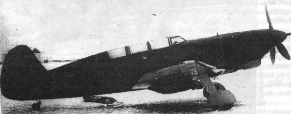 Yak7007.jpg