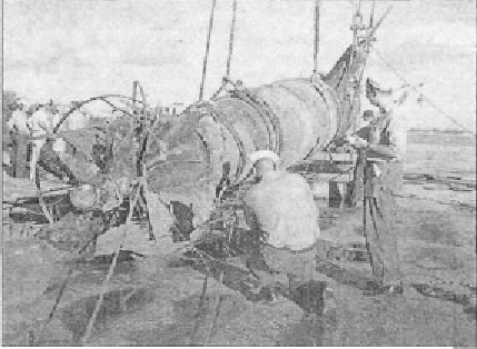 PearlHar061.jpg
