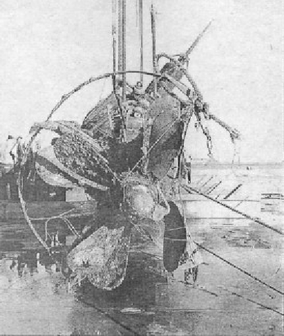 PearlHar062.jpg