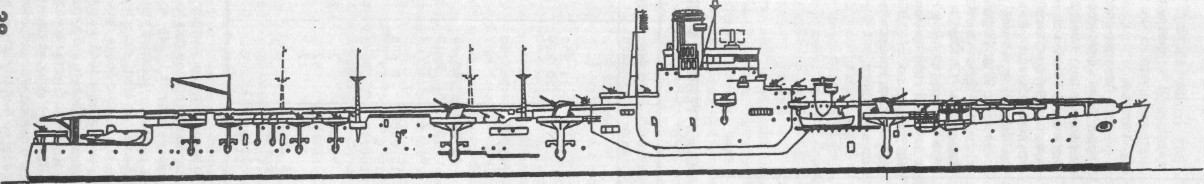 YapFlBu004.jpg