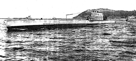YuFl1841030.jpg