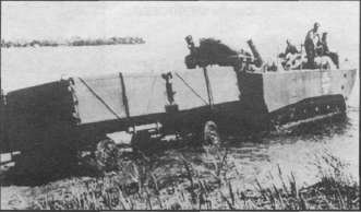 AmfGE023.jpg