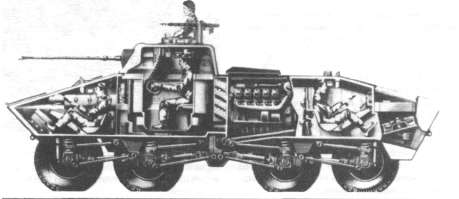 AmfGE047.jpg