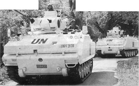 BM113001.jpg