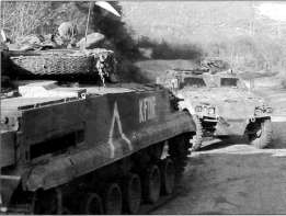 BMP3003.jpg