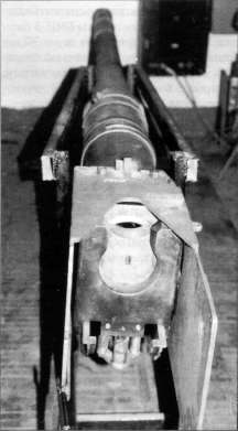 BMP3023.jpg