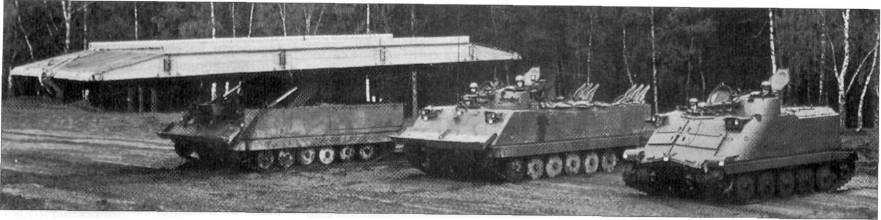 BMPSh015.jpg