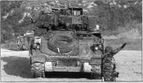 BMPid017.jpg