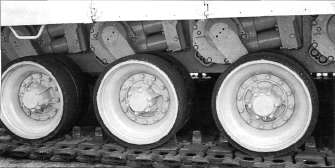 BrtHi010.jpg