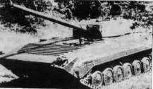 BrtHi022.jpg