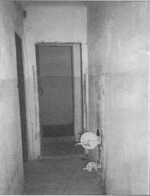 BtrNr006.jpg