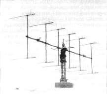 C75056.jpg