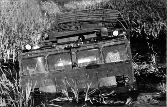 DzvVh078.jpg