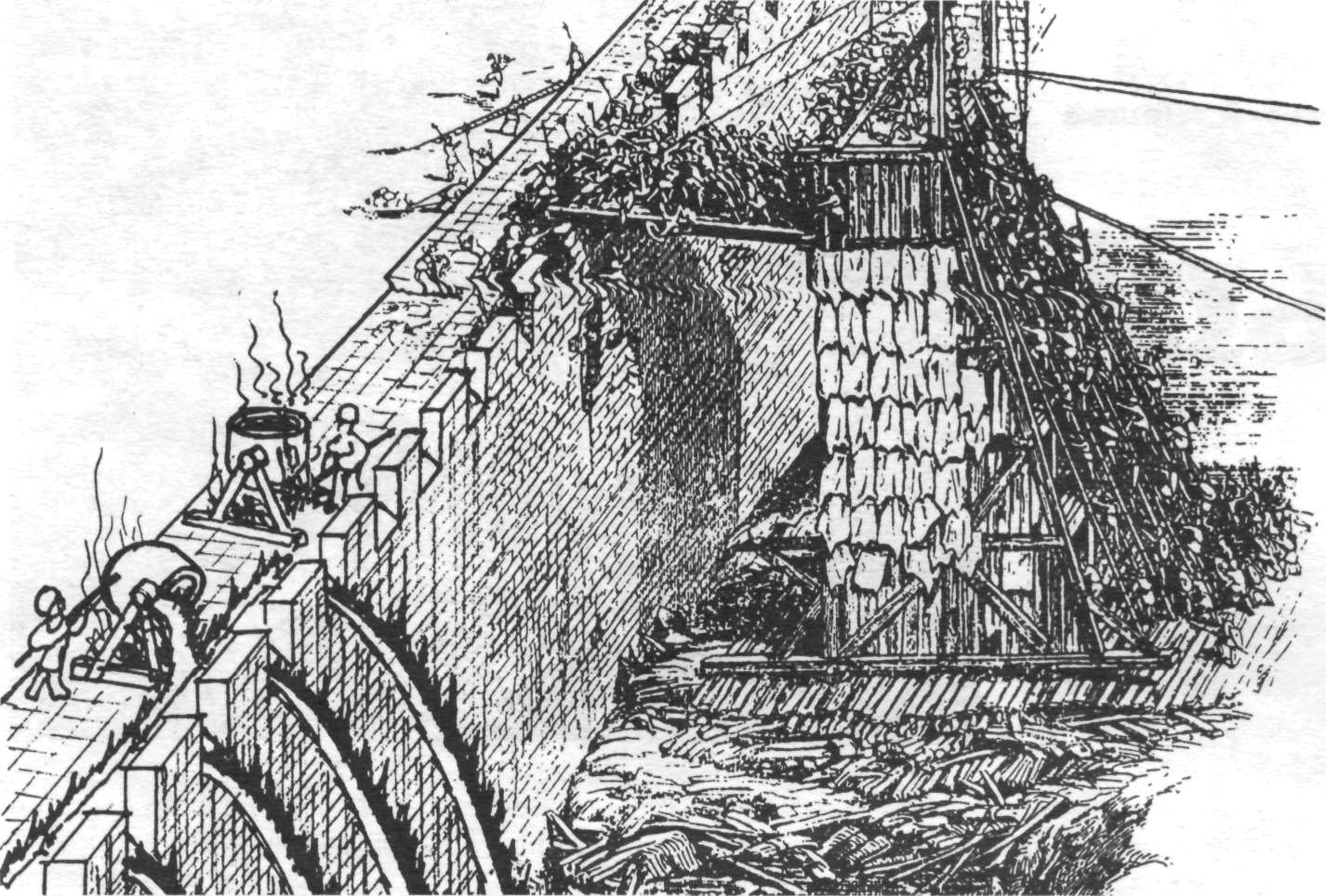 Flamm026.jpg