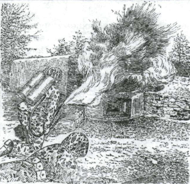 Flamm084.jpg