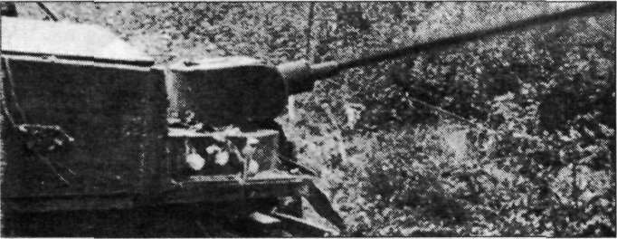 Flamm135.jpg