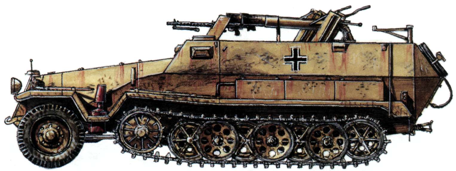 Flamm164.jpg