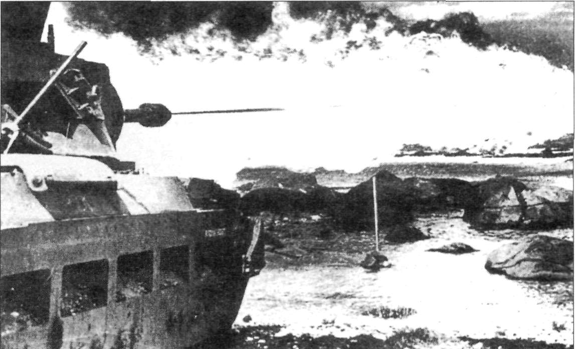 Flamm170.jpg