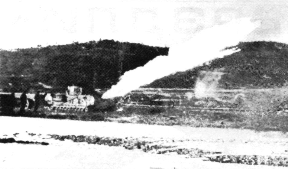 Flamm175.jpg