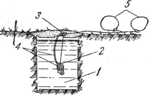Flamm204.jpg