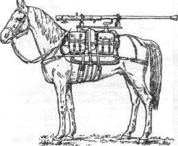InPTO023.jpg