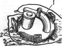 InPTO123.jpg