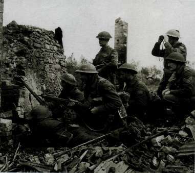 MG2W1003.jpg