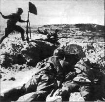 MG2W1008.jpg