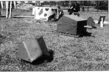 MG2W1014.jpg