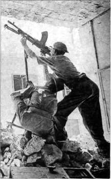 MG2W1092.jpg