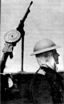 MG2W1106.jpg