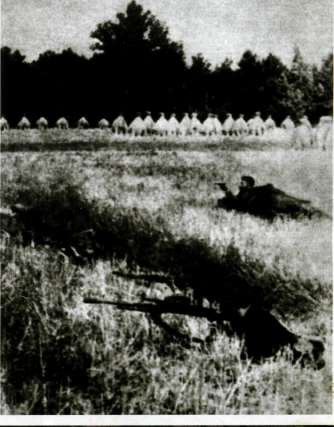 MG2W1130.jpg