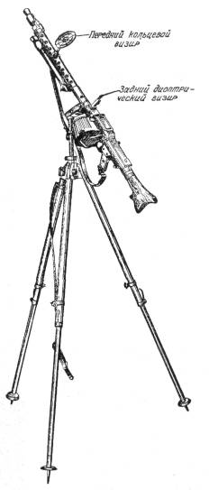 MG2W2036.jpg
