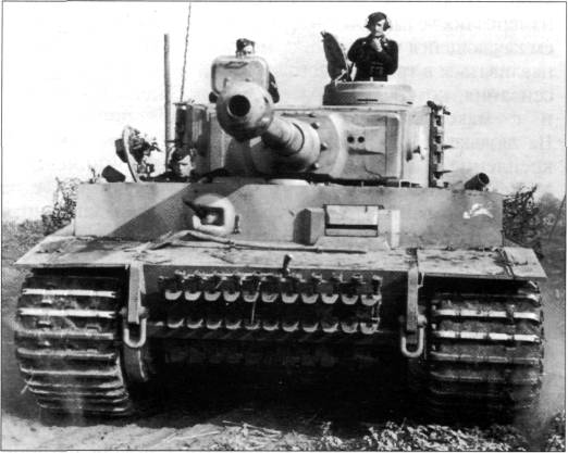 MG2W2038.jpg