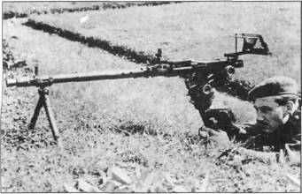 MG2W2039.jpg