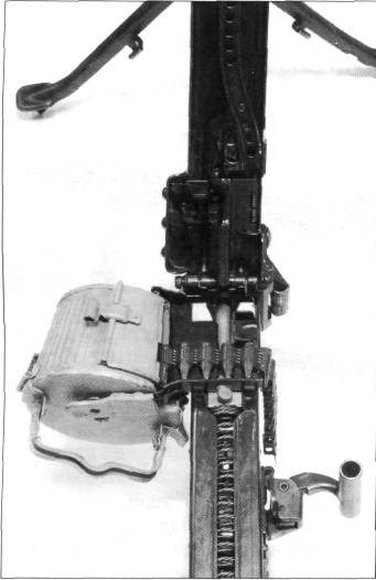 MG2W2051.jpg