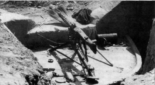 MG2W2060.jpg