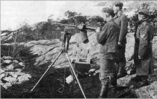MG2W2068.jpg
