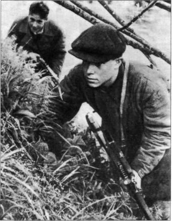 MG2W2082.jpg