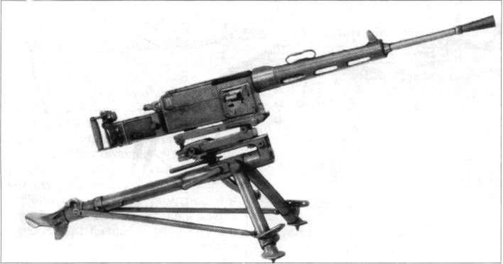 MG2W2103.jpg