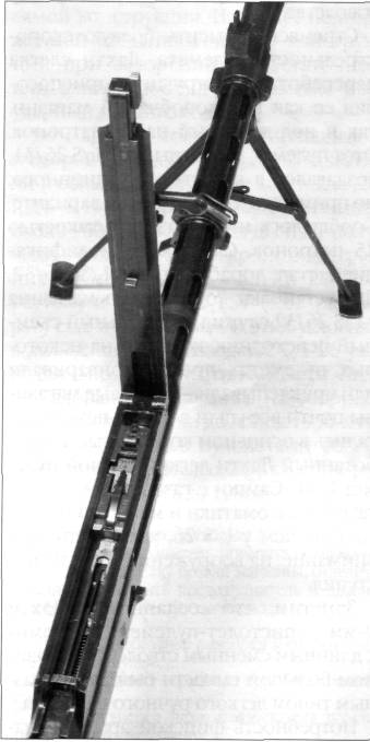 MG2W2112.jpg