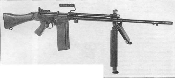 MLMG010.jpg