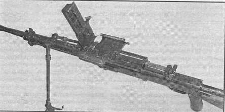 MLMG055.jpg