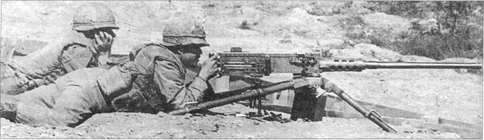 MMG117.jpg