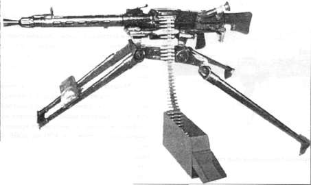 MMG156.jpg
