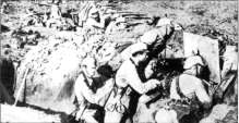 PVO14041.jpg